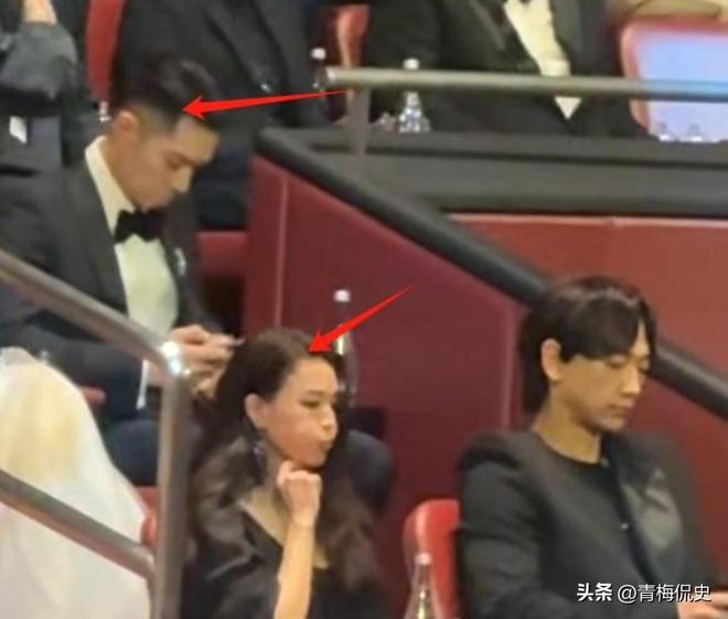 抢镜胡杏儿美出圈C位张柏芝抢尽风头AG真人平台澳门晚宴：刘嘉玲大露背(图15)