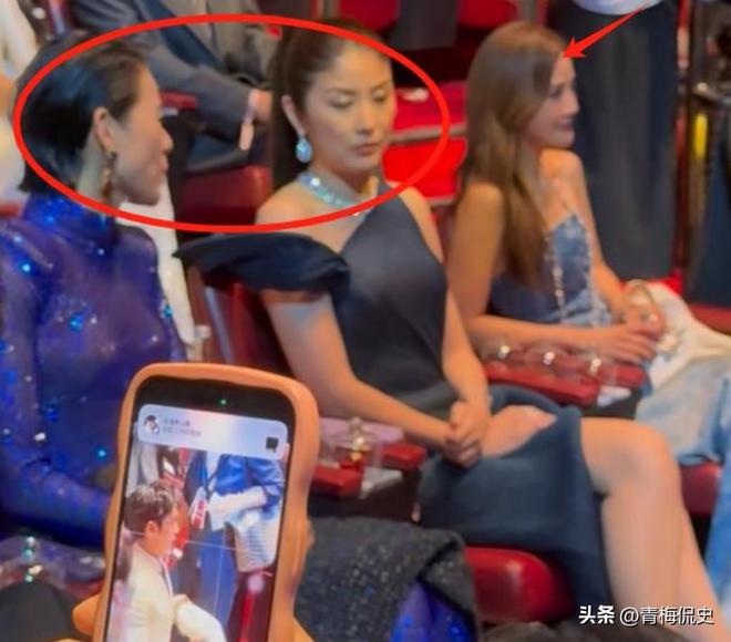抢镜胡杏儿美出圈C位张柏芝抢尽风头AG真人平台澳门晚宴：刘嘉玲大露背(图12)